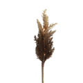 Countryfield Kunsttak Astilbe LED op batterij bruin 90 cm