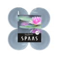 (R) Spaas maxi geur theelichten Fairy Waterlily 6 cm set van 4
