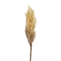 Countryfield Kunsttak Astilbe LED op batterij lichtbruin 90 cm