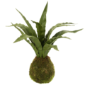 J-Line kunstplant Sansevieria 35 cm