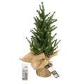 Kerstboom met LED verlichting op batterij 43 cm