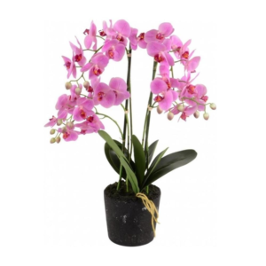 Kunstplant orchidee Phalaenopsis 5-tak roze 65 cm