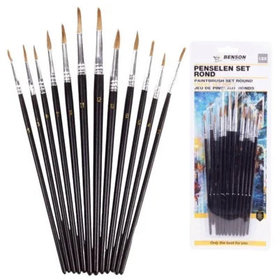 Penseel set punt 12 penselen