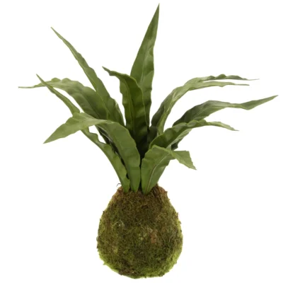 J-Line kunstplant Sansevieria 35 cm