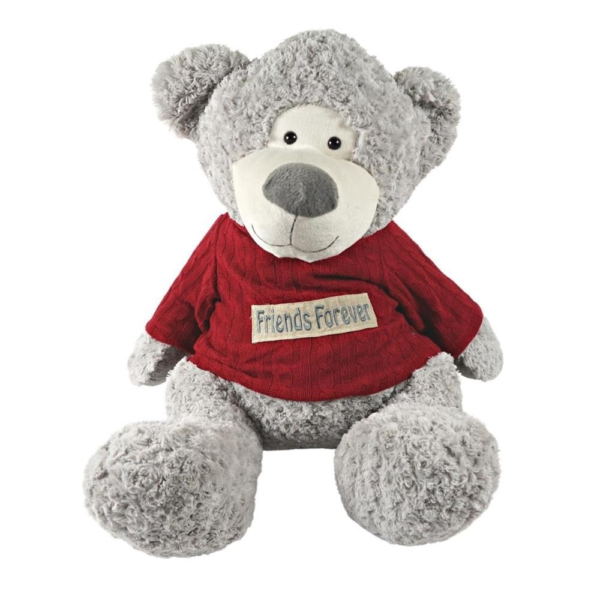 Knuffelbeer Friends Forever 60 cm