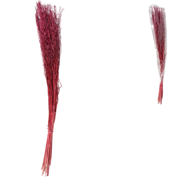 Bundel gedroogd saras gras paars 110 cm