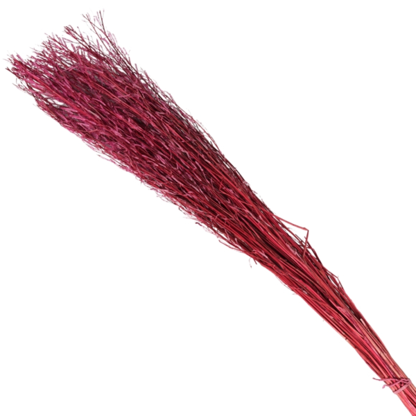 Bundel gedroogd saras gras paars 110 cm