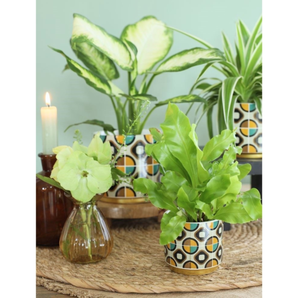 Bloempot Retro mintgroen 7 cm