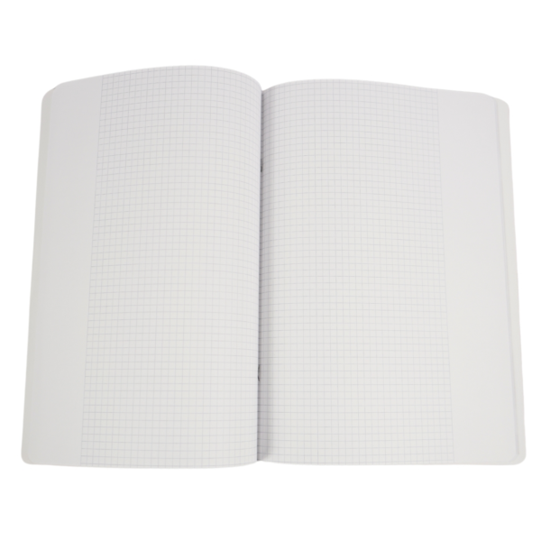 Herlitz schoolschrift 40 vellen regel 26 geruit A4