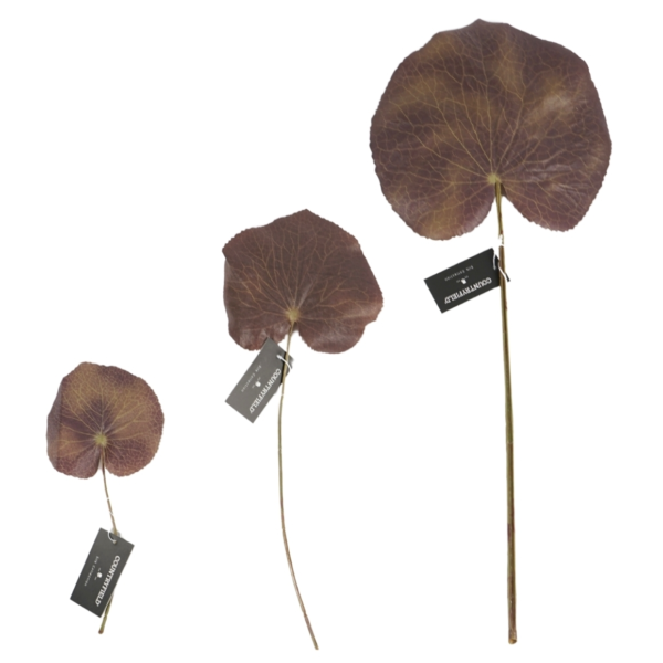 Countryfield Kunstblad Monstera Jay S 22 cm