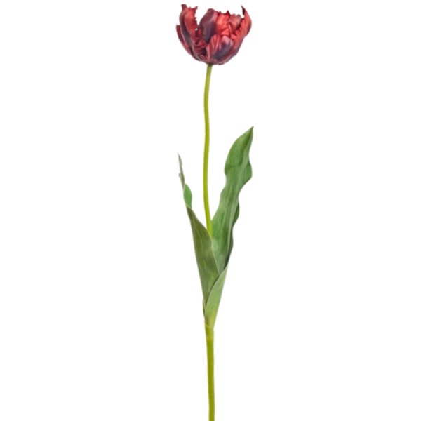 Künstliche Blume Tulpe Papagei rot 66 cm