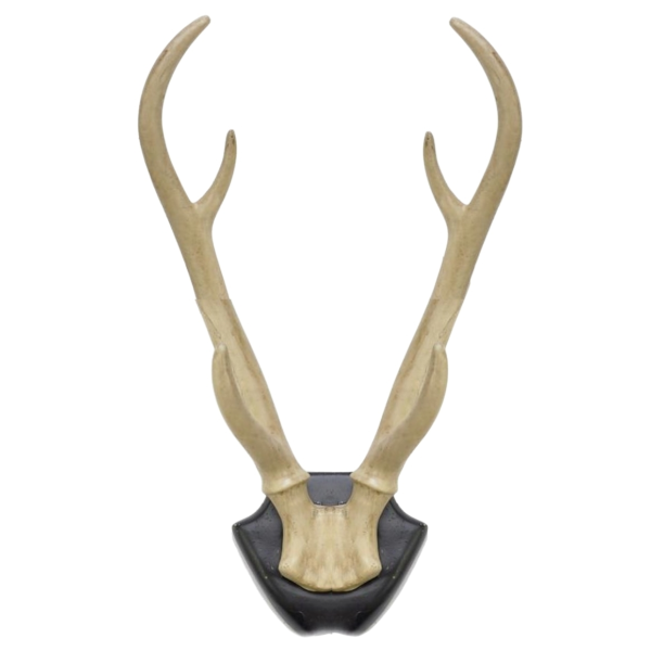 Wanddecoratie hertengewei op bord 34,5 cm