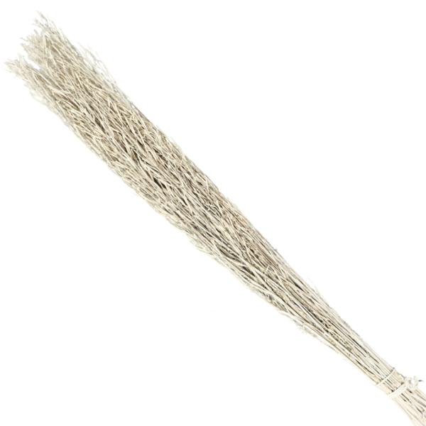 Bundel gedroogd saras gras wit 110 cm