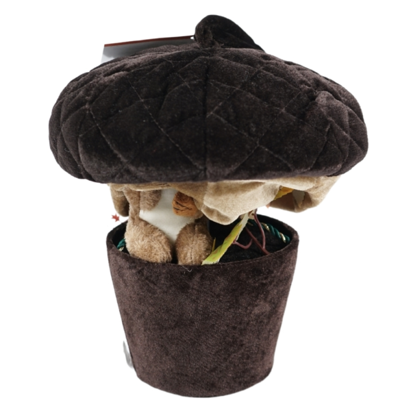 Luchtballon eikel inklapbaar 60 cm 2 assorti