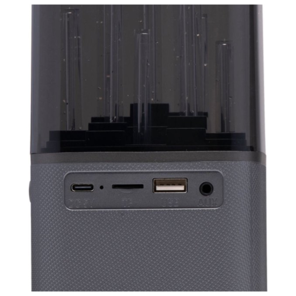 Dunlop Bluetooth Speaker met Licht 22 cm