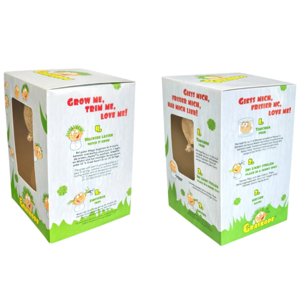 Graskop gezicht plantje in vaas 12 cm 4 assorti