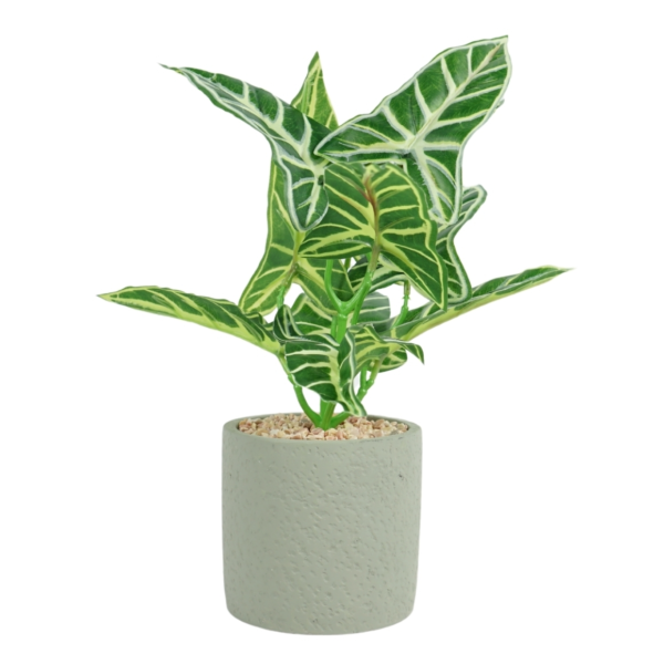 Kunstplant in cementen pot 4 assorti 35 cm