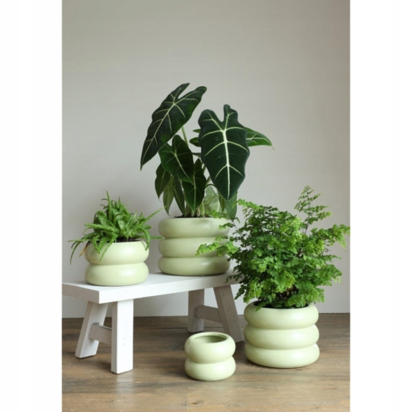 Chubby bloempot jade groen 12,5 cm