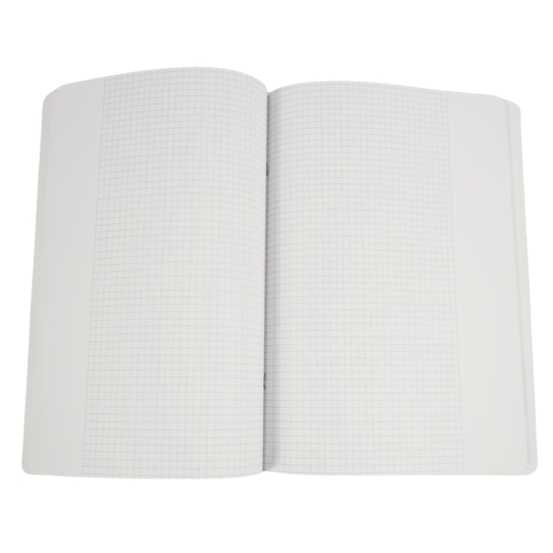 Herlitz schoolschrift 40 vellen regel 26 geruit A4