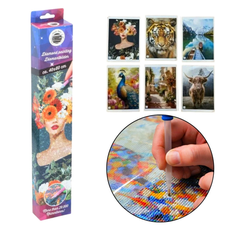 Diamond Painting schilderij 40 x 60 cm