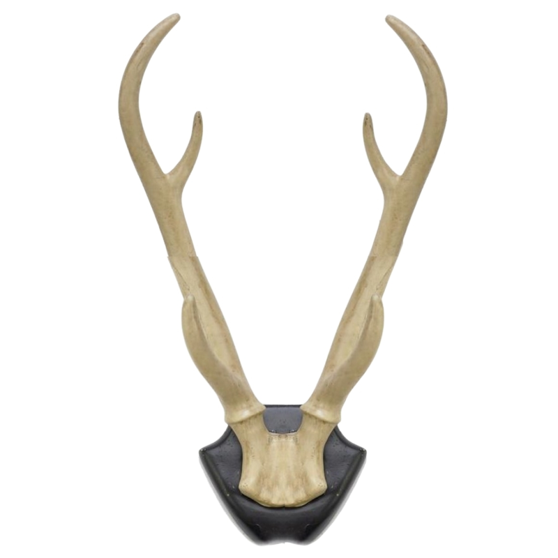Wanddecoratie hertengewei op bord 34,5 cm