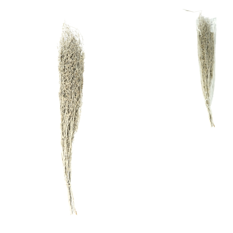 Bundel gedroogd chili gras wit 85-95 cm