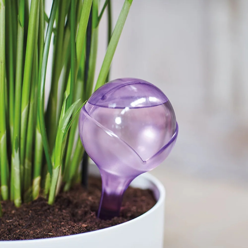 Kinzo Garden planten waterbol  gekleurd