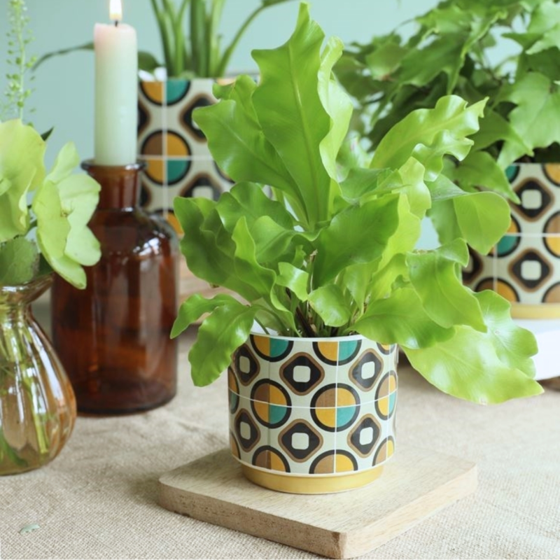 Bloempot Retro mintgroen 13 cm