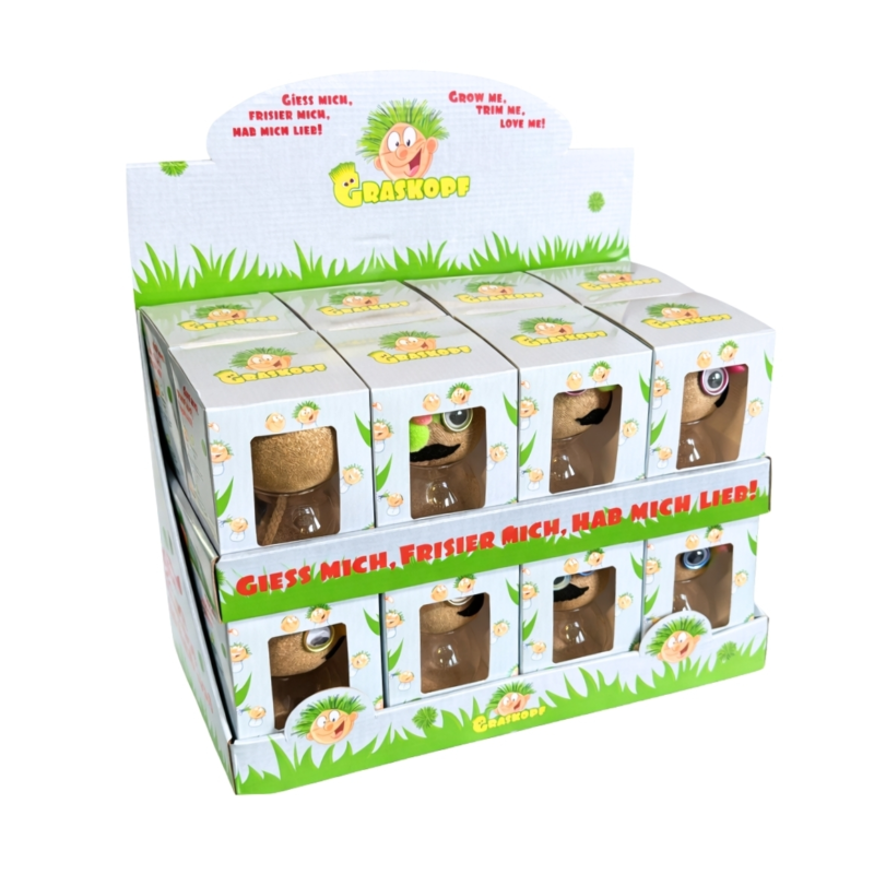 Graskop gezicht plantje in vaas 12 cm 4 assorti