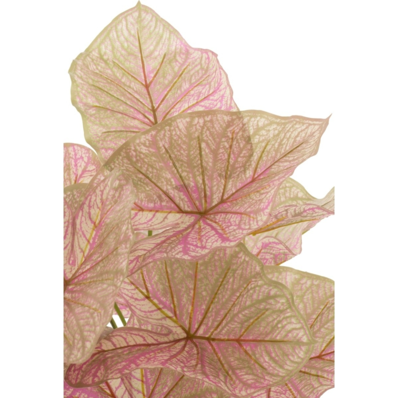 J-Line kunstplant Caladium in pot roze/groen 57 cm