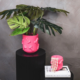 Housevitamin bloempot Dick roze 17,5 cm