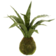 J-Line kunstplant Sansevieria 35 cm